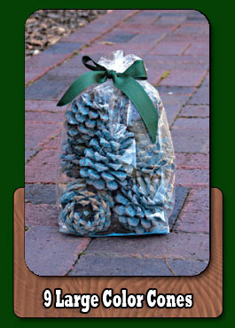 fatwood fire starter
